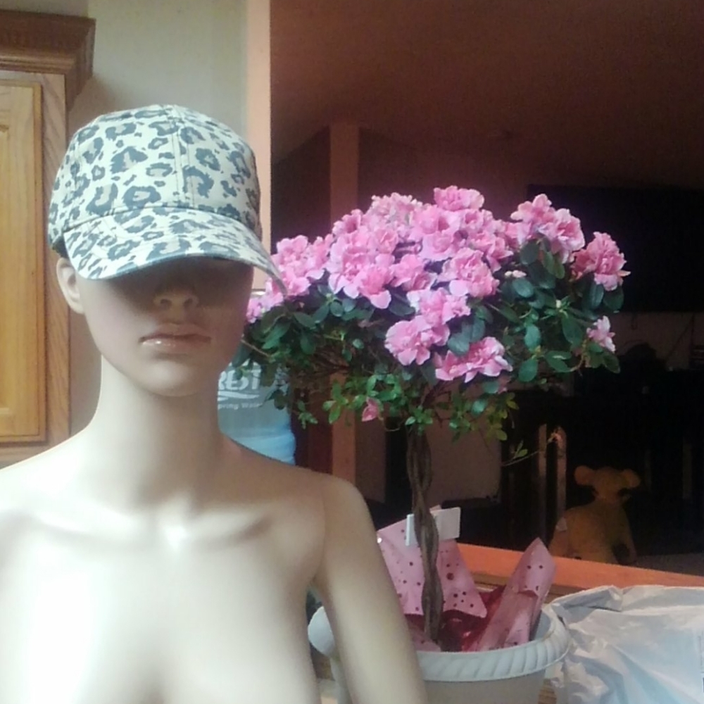 NWT: sexy cheetah print baseball cap #CANWESAYSEXI